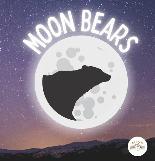 Moon Bears: A Magical Bedtime Story & Meditation